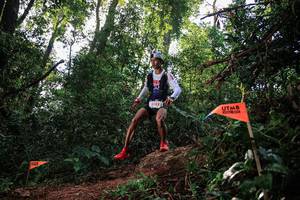 BIB: 5182
                            <button type="button" onclick="openModal(22631027)" class="btn btn-primary btn-sm float-right btn-popup" data-toggle="modal" data-target=".modal-high-quality">
                        <i class="fas fa-shopping-cart"></i> Add to Cart
                    </button>
                                            <button type="button" onclick="isThisMe(22631027, true)" class="btn btn-success btn-sm float-right btn-popup btn-isme hidden" data-toggle="tooltip" data-placement="bottom" title="นี่คือรูปของคุณใช่ไหม คลิกที่นี่เพื่อเอาเข้าอัลบั้ม">
                        <i class="fas fa-plus"></i> Add to album
                    </button>
                    <button type="button" onclick="isThisMe(22631027, false)" class="btn btn-warning btn-sm float-right btn-popup btn-isnotme hidden">
                        <i class="fas fa-ban"></i> Remove from album
                    </button>